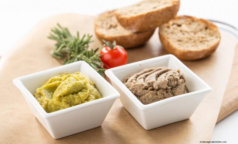 Hongos en polvo:beneficios, usos y recetas:una guía completa 