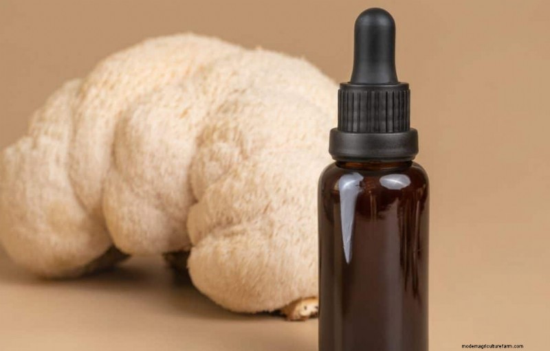 Lion s Mane Mushroom:cognitieve en gezondheidsvoordelen | [Uw merk-/sitenaam] 