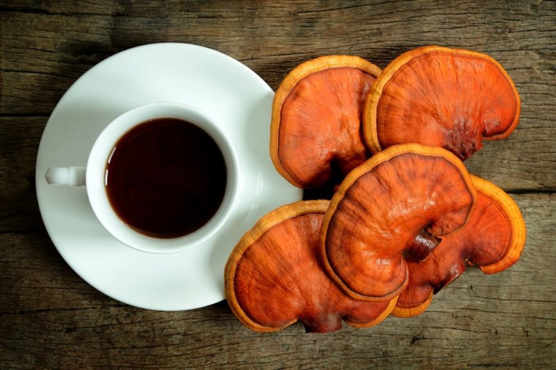 Paddestoelen voor gewichtsverlies:voordelen en hoe te integreren 