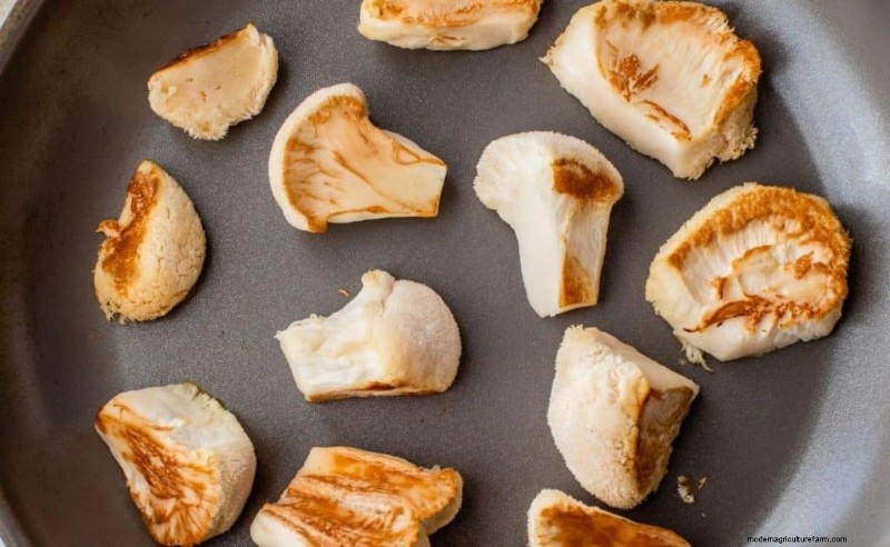 Lion s Mane Mushroom:culinair gebruik, voordelen en eenvoudige recepten 