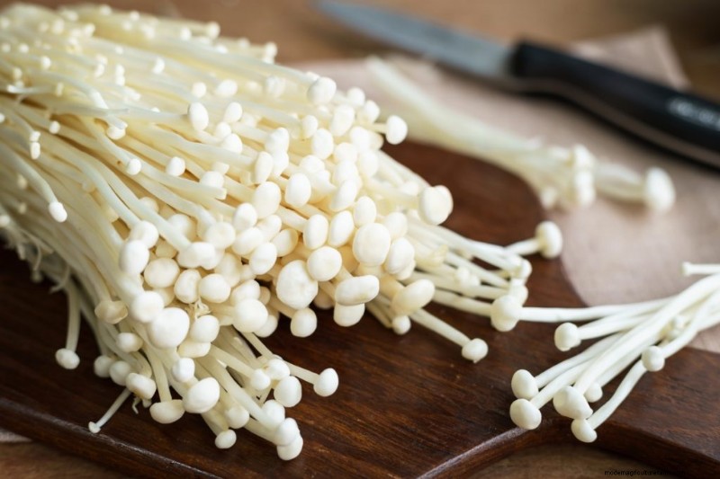 Funghi Enoki:una guida completa al sapore, alla nutrizione e alla coltivazione 