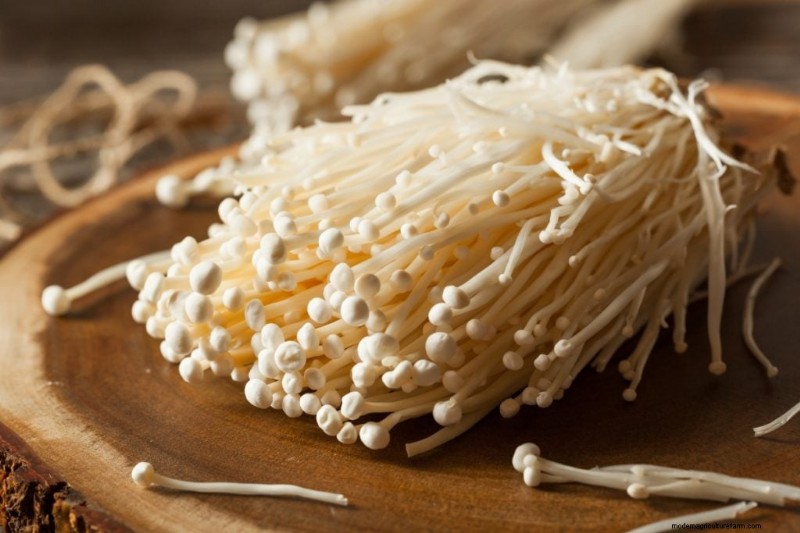 Funghi Enoki:una guida completa al sapore, alla nutrizione e alla coltivazione 