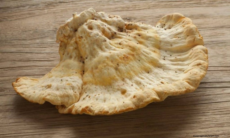Funghi di pollo dei boschi:una guida per raccoglitori e cuochi 