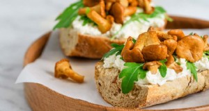 Sustitutos de la carne de champiñones:una guía completa sobre proteínas de origen vegetal 
