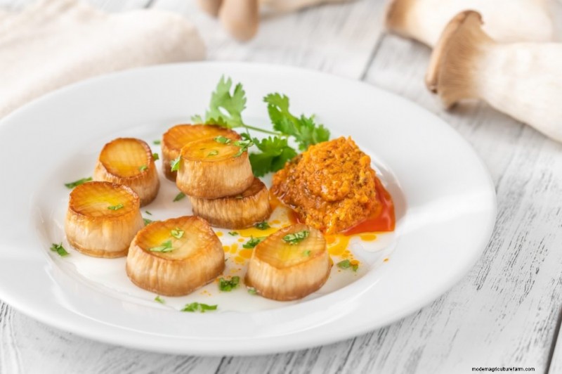 Sostituti della carne di funghi:una guida completa alle proteine ​​vegetali 
