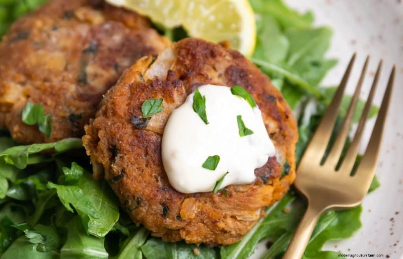 Sostituti della carne di funghi:una guida completa alle proteine ​​vegetali 