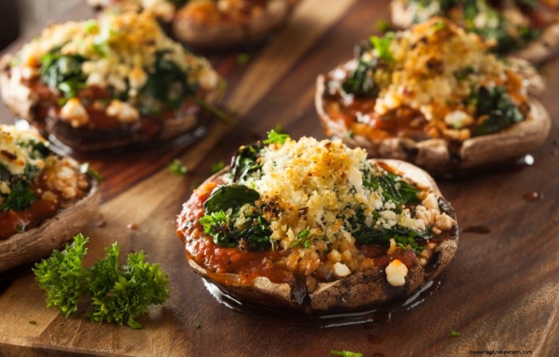 Sostituti della carne di funghi:una guida completa alle proteine ​​vegetali 