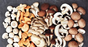 Hongos y proteínas:una guía completa para consumidores preocupados por su salud 