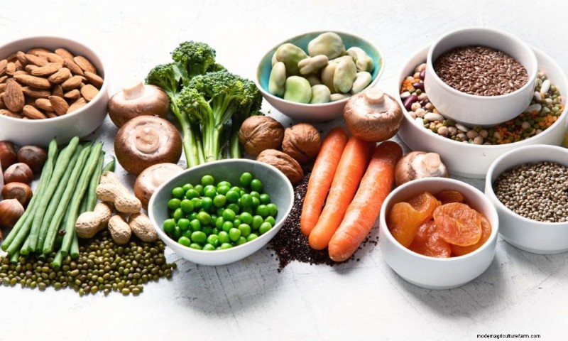 Hongos y proteínas:una guía completa para consumidores preocupados por su salud 