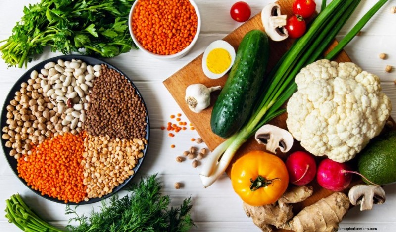 Hongos y proteínas:una guía completa para consumidores preocupados por su salud 