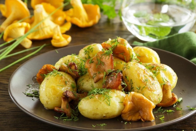 Hongos y proteínas:una guía completa para consumidores preocupados por su salud 