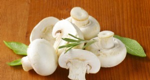 Pilze aus dem Lebensmittelgeschäft:Ein Leitfaden für Anfänger zu Sorten und Verwendungsmöglichkeiten 