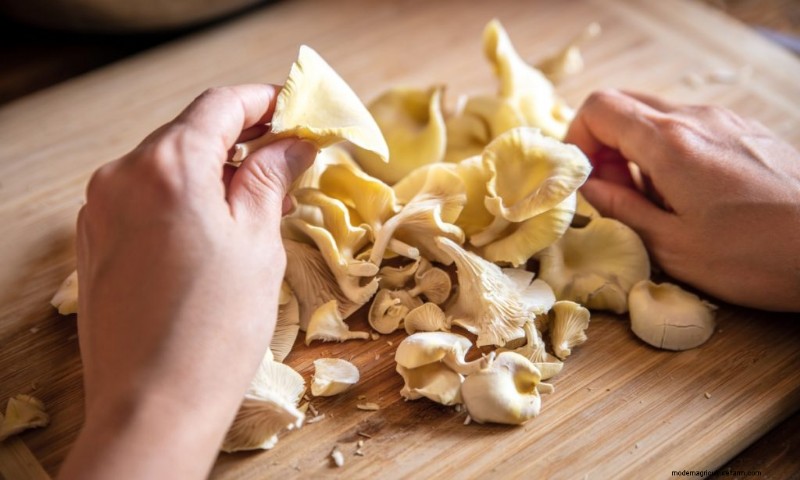 Funghi Ostrica Gialli:Una guida completa per coltivare e divertirsi 