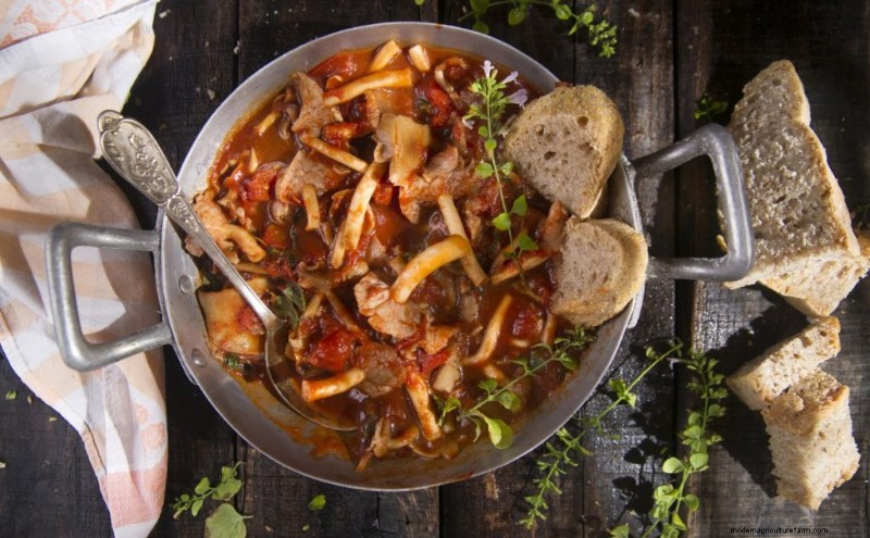 Funghi pioppini:una guida completa al sapore, alla raccolta e alla cucina 