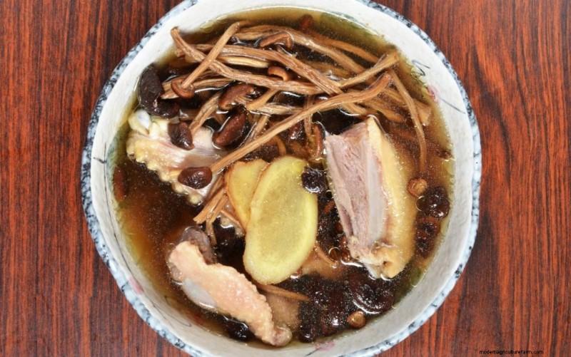 Funghi pioppini:una guida completa al sapore, alla raccolta e alla cucina 
