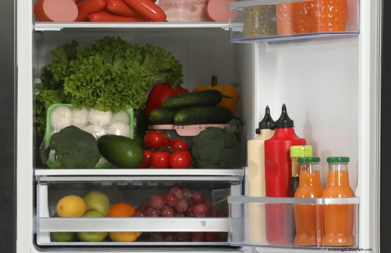 Guía de expertos:cómo almacenar champiñones para obtener la máxima frescura 