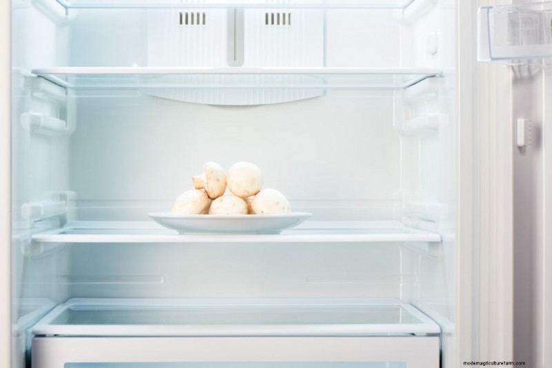Guía de expertos:cómo almacenar champiñones para obtener la máxima frescura 