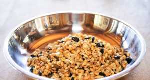 Alimento fermentado para pollos:una guía sencilla para mejorar la salud de las gallinas y la calidad de los huevos 