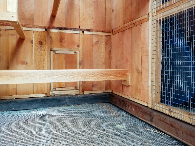 Säkra din flock:9 beprövade metoder för att rovdjurssäkra ditt hönshus och springa 