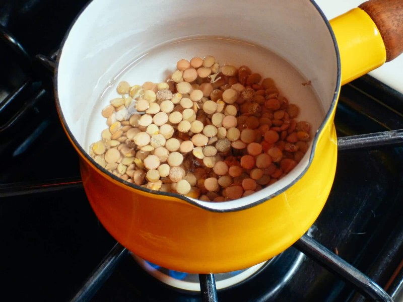 冬の鶏のケア:健康と生産性の維持 