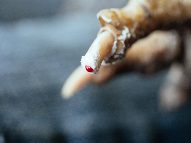 Gids voor het trimmen van kippenteennagels:een essentiële kuddegezondheid 