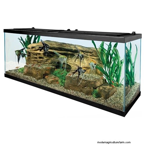 Gids voor aquariummeervallen:soorten, verzorging en vermijding 