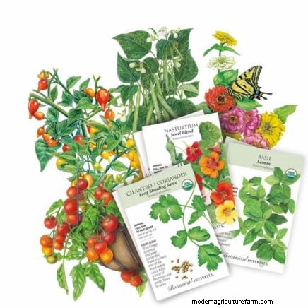 Las mejores combinaciones de plantación complementaria de vegetales para la primavera 