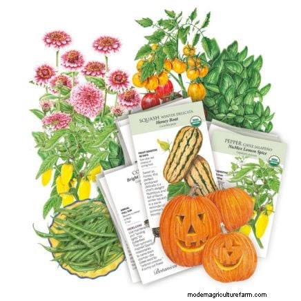 Las mejores combinaciones de plantación complementaria de vegetales para la primavera 