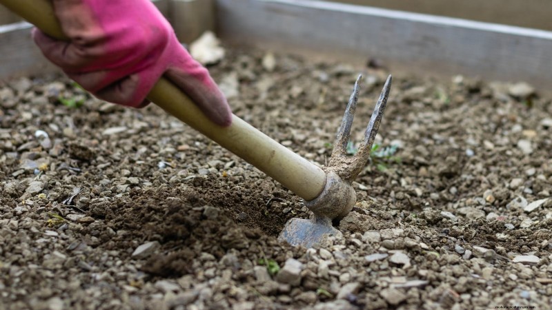 Cultivo de sandías en camas elevadas:una guía completa 