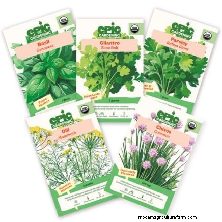 Coltivazione di erbe aromatiche indoor o outdoor:qual è la migliore per la primavera? 