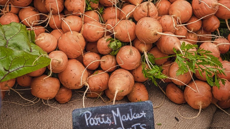 Wortel Pasar Paris:Menanam, Menanam &Memanen - Panduan Lengkap 