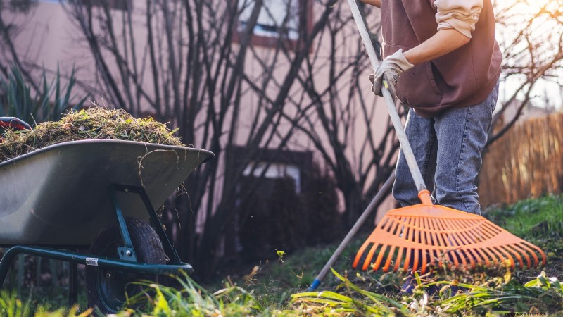 Voorbereiding van wintertuinbedden:een eenvoudige handleiding 