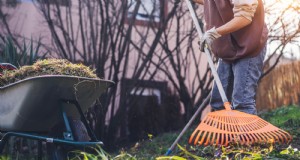 Preparazione del letto nel giardino d inverno:una semplice guida 