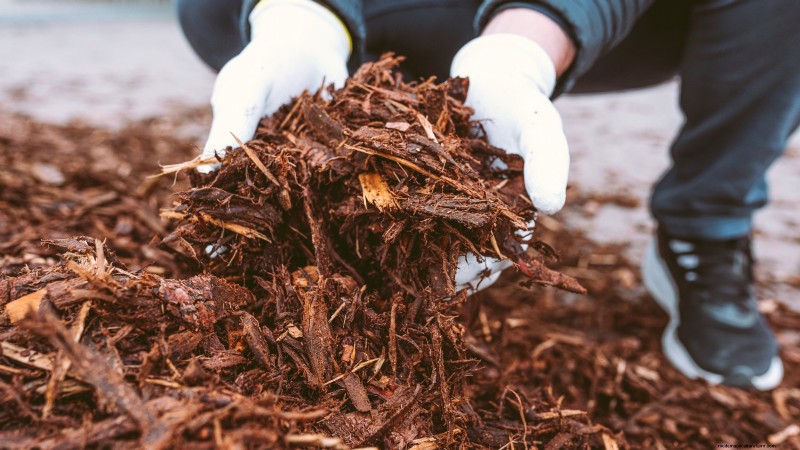 Voorbereiding van wintertuinbedden:een eenvoudige handleiding 