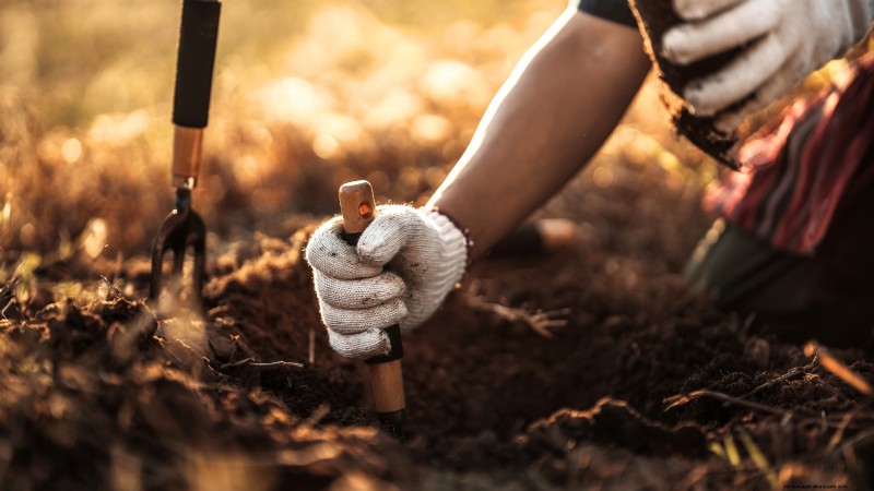 Voorbereiding van wintertuinbedden:een eenvoudige handleiding 