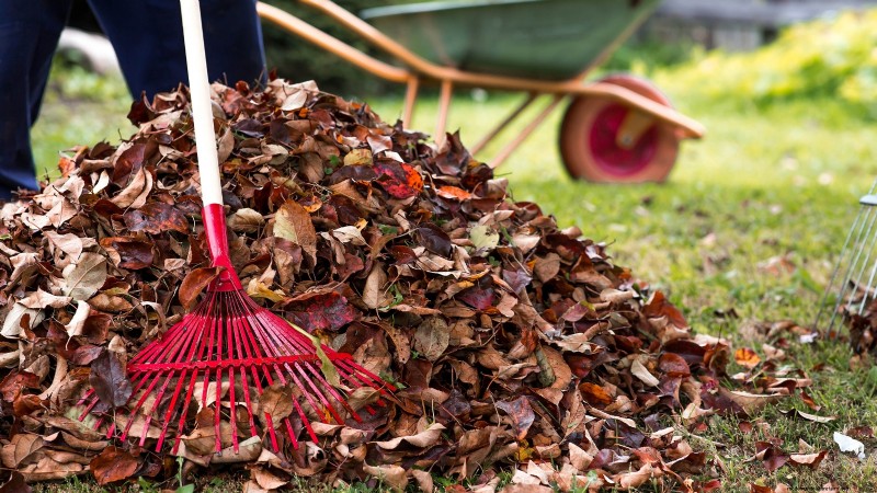 Voorbereiding van wintertuinbedden:een eenvoudige handleiding 