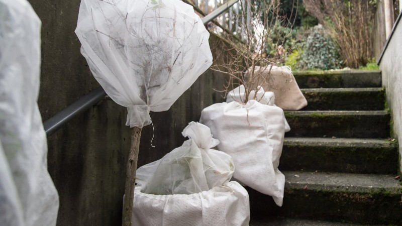 Voorbereiding van wintertuinbedden:een eenvoudige handleiding 