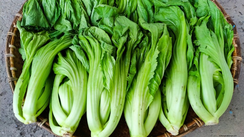 Asiatisches Gemüse:Geschmack und Ernährung im Herbst und Winter kultivieren 