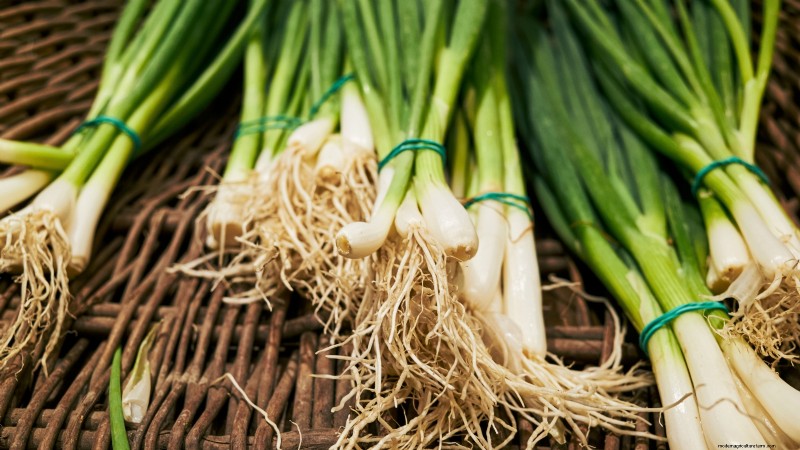 Asiatisches Gemüse:Geschmack und Ernährung im Herbst und Winter kultivieren 