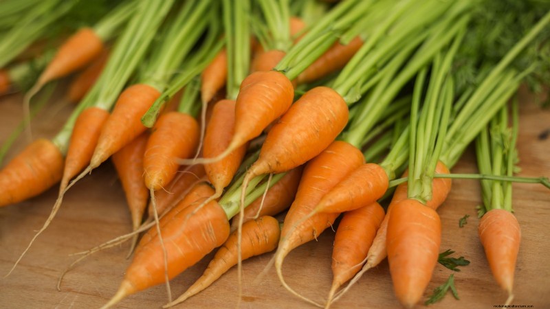 8月の植え付けに最適なサバイバルガーデン作物 |食糧安全保障 