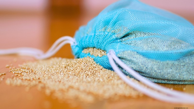 Guida alla raccolta della quinoa:tempistiche e migliori pratiche 