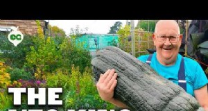 Maximaliseer uw oogst:5 tips voor het kweken van gigantische groenten 
