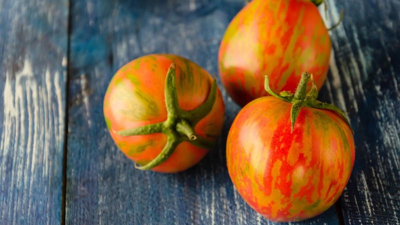 Las mejores variedades de tomates de poste para huertos familiares:de alto rendimiento y resistentes a enfermedades 