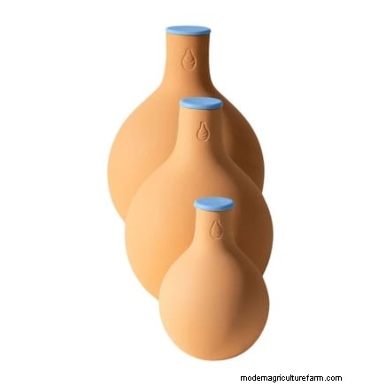 トマトの水やり:5 つの致命的な間違いを避けてください 