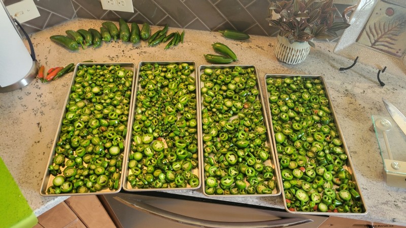 Panduan Memanen Jalapeño:Kapan &Cara Memilih Rasa yang Optimal 