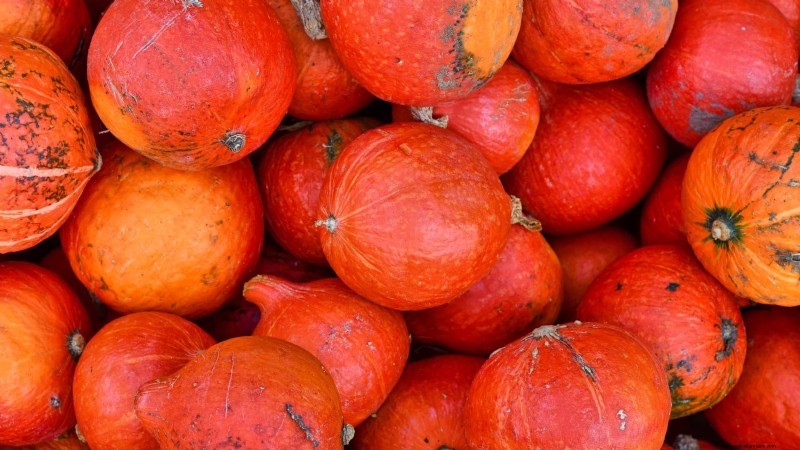 Variedades de calabazas tradicionales:una guía de sabores e historia únicos 