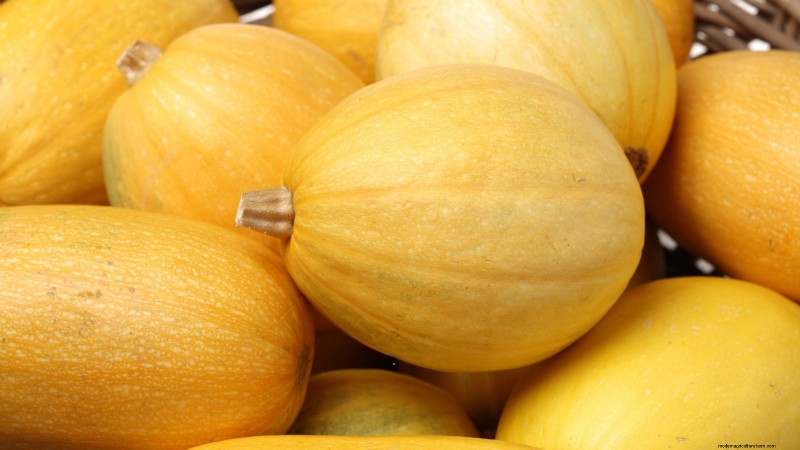 Variedades de calabazas tradicionales:una guía de sabores e historia únicos 