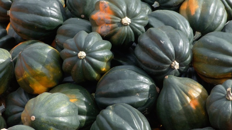 Variedades de calabazas tradicionales:una guía de sabores e historia únicos 