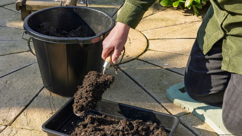 Coltiva pomodori sani:un innovativa tecnica di giardinaggio sottosopra 