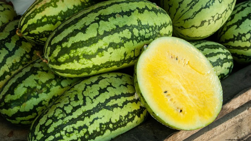 Época de cultivo da melancia:da semente à colheita e tamanho